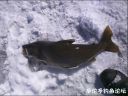 Filename=attachID_19678_postID_182896__00t.jpg
Filesize=104KiB
Dimensions=1000x751
Date added=Dec 02, 2016 attachID_19678_postID_182896__00t.jpg