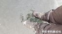 Filename=attachID_19722_postID_183268_20160308_170143.jpg
Filesize=69KiB
Dimensions=1000x562
Date added=Dec 02, 2016 attachID_19722_postID_183268_20160308_170143.jpg