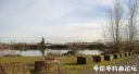 Filename=attachID_19761_postID_183708_walling_pond.jpg
Filesize=76KiB
Dimensions=992x533
Date added=Dec 02, 2016 attachID_19761_postID_183708_walling_pond.jpg