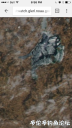 Filename=attachID_19972_postID_185698_image.png
Filesize=508KiB
Dimensions=563x1000
Date added=Dec 02, 2016 attachID_19972_postID_185698_image.png