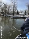 Filename=attachID_20135_postID_187007_l307_1.jpg
Filesize=155KiB
Dimensions=750x1000
Date added=Dec 02, 2016 attachID_20135_postID_187007_l307_1.jpg