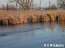 Filename=attachID_20143_postID_187161_3.jpg
Filesize=119KiB
Dimensions=1000x750
Date added=Dec 02, 2016 attachID_20143_postID_187161_3.jpg