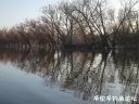 Filename=attachID_20144_postID_187161_4.jpg
Filesize=142KiB
Dimensions=1000x750
Date added=Dec 02, 2016 attachID_20144_postID_187161_4.jpg