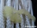 Filename=attachID_20295_postID_188515_pochi_shuai.jpg
Filesize=58KiB
Dimensions=1000x750
Date added=Dec 02, 2016 attachID_20295_postID_188515_pochi_shuai.jpg