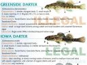 Filename=attachID_20461_postID_189903_baitfish37.jpg
Filesize=135KiB
Dimensions=1000x745
Date added=Dec 02, 2016 attachID_20461_postID_189903_baitfish37.jpg