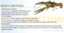 Filename=attachID_20466_postID_189903_baitfish42.jpg
Filesize=78KiB
Dimensions=1000x516
Date added=Dec 02, 2016 attachID_20466_postID_189903_baitfish42.jpg