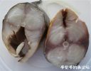 Filename=attachID_20483_postID_190104_3.jpg
Filesize=65KiB
Dimensions=978x771
Date added=Dec 02, 2016 attachID_20483_postID_190104_3.jpg