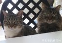 Filename=attachID_20484_postID_190104_4.jpg
Filesize=84KiB
Dimensions=1000x708
Date added=Dec 02, 2016 attachID_20484_postID_190104_4.jpg