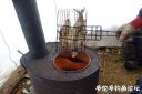 Filename=attachID_20499_postID_190185_image.jpg
Filesize=87KiB
Dimensions=1000x667
Date added=Dec 02, 2016 attachID_20499_postID_190185_image.jpg