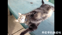 Filename=attachID_20524_postID_190326_image.png
Filesize=663KiB
Dimensions=1000x563
Date added=Dec 02, 2016 attachID_20524_postID_190326_image.png