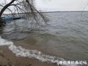 Filename=attachID_20533_postID_190413_7.jpg
Filesize=130KiB
Dimensions=1000x750
Date added=Dec 02, 2016 attachID_20533_postID_190413_7.jpg