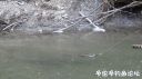 Filename=attachID_20539_postID_190424_2.JPG
Filesize=90KiB
Dimensions=1000x560
Date added=Dec 02, 2016 attachID_20539_postID_190424_2.JPG