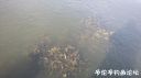 Filename=attachID_20596_postID_191013_20160413_093030.jpg
Filesize=59KiB
Dimensions=1000x562
Date added=Dec 02, 2016 attachID_20596_postID_191013_20160413_093030.jpg