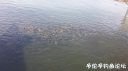 Filename=attachID_20598_postID_191013_20160413_093141.jpg
Filesize=83KiB
Dimensions=1000x562
Date added=Dec 02, 2016 attachID_20598_postID_191013_20160413_093141.jpg