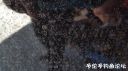Filename=attachID_20686_postID_191506_20160416_110200.jpg
Filesize=100KiB
Dimensions=1000x562
Date added=Dec 02, 2016 attachID_20686_postID_191506_20160416_110200.jpg