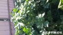 Filename=attachID_20932_postID_193445_20150809_160616.jpg
Filesize=109KiB
Dimensions=1000x562
Date added=Dec 02, 2016 attachID_20932_postID_193445_20150809_160616.jpg