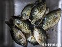Filename=attachID_20985_postID_193786_IMG_0651.JPG
Filesize=156KiB
Dimensions=1000x750
Date added=Dec 02, 2016 attachID_20985_postID_193786_IMG_0651.JPG