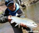 Filename=attachID_21019_postID_193970_IMG-20160501-WA0006.jpg
Filesize=143KiB
Dimensions=1000x846
Date added=Dec 02, 2016 attachID_21019_postID_193970_IMG-20160501-WA0006.jpg