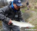 Filename=attachID_21020_postID_193970_IMG-20160501-WA0011.jpg
Filesize=162KiB
Dimensions=1000x863
Date added=Dec 02, 2016 attachID_21020_postID_193970_IMG-20160501-WA0011.jpg