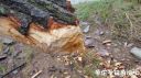 Filename=attachID_21026_postID_193986_20160501_161541.jpg
Filesize=116KiB
Dimensions=1000x562
Date added=Dec 02, 2016 attachID_21026_postID_193986_20160501_161541.jpg