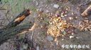 Filename=attachID_21027_postID_193986_20160501_161538.jpg
Filesize=184KiB
Dimensions=1000x562
Date added=Dec 02, 2016 attachID_21027_postID_193986_20160501_161538.jpg