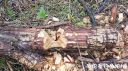 Filename=attachID_21037_postID_194007_20160501_115602.jpg
Filesize=188KiB
Dimensions=1000x562
Date added=Dec 02, 2016 attachID_21037_postID_194007_20160501_115602.jpg