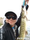 Filename=attachID_21102_postID_194560_dazhou_pike.jpg
Filesize=81KiB
Dimensions=750x1000
Date added=Dec 02, 2016 attachID_21102_postID_194560_dazhou_pike.jpg