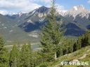 Filename=attachID_21202_postID_195272_32.jpg
Filesize=131KiB
Dimensions=992x744
Date added=Dec 02, 2016 attachID_21202_postID_195272_32.jpg