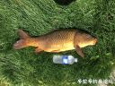 Filename=attachID_21294_postID_195858_5.jpg
Filesize=276KiB
Dimensions=1000x750
Date added=Dec 02, 2016 attachID_21294_postID_195858_5.jpg