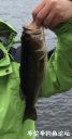 Filename=attachID_21346_postID_196587_image.jpeg
Filesize=63KiB
Dimensions=526x1000
Date added=Dec 02, 2016 attachID_21346_postID_196587_image.jpeg