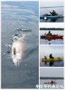 attachID_21473_postID_197858_pt2016_05_21_17_22_23.jpg
