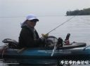 Filename=attachID_21480_postID_197919_31.jpg
Filesize=72KiB
Dimensions=998x737
Date added=Dec 02, 2016 attachID_21480_postID_197919_31.jpg