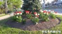Filename=attachID_21511_postID_198158_20160522_185953.jpg
Filesize=176KiB
Dimensions=1000x562
Date added=Dec 02, 2016 attachID_21511_postID_198158_20160522_185953.jpg