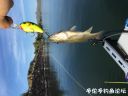 Filename=attachID_21645_postID_199509_image.jpeg
Filesize=63KiB
Dimensions=1000x750
Date added=Dec 02, 2016 attachID_21645_postID_199509_image.jpeg