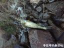 Filename=attachID_21669_postID_199584_IMG_09515B15D.JPG
Filesize=135KiB
Dimensions=1000x750
Date added=Dec 02, 2016 attachID_21669_postID_199584_IMG_09515B15D.JPG