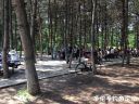 attachID_21847_postID_200811_image.jpeg