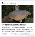 Filename=attachID_21852_postID_200825_image.jpeg
Filesize=55KiB
Dimensions=596x630
Date added=Dec 02, 2016 attachID_21852_postID_200825_image.jpeg