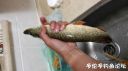 Filename=attachID_22026_postID_202546_20160616_214520.jpg
Filesize=54KiB
Dimensions=1000x562
Date added=Dec 02, 2016 attachID_22026_postID_202546_20160616_214520.jpg