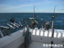 attachID_22044_postID_202608_sanwen12.jpg