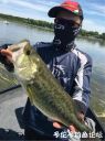 attachID_22066_postID_202720_madfrog_bass.jpg