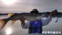 Filename=attachID_22121_postID_203180__00d.jpg
Filesize=54KiB
Dimensions=1000x567
Date added=Dec 02, 2016 attachID_22121_postID_203180__00d.jpg