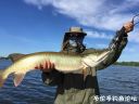 Filename=attachID_22165_postID_203686__00e.jpg
Filesize=89KiB
Dimensions=1000x750
Date added=Dec 02, 2016 attachID_22165_postID_203686__00e.jpg