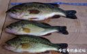 Filename=attachID_22166_postID_203686__00f.jpg
Filesize=103KiB
Dimensions=1000x621
Date added=Dec 02, 2016 attachID_22166_postID_203686__00f.jpg