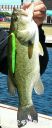 Filename=attachID_22192_postID_203966_IMG_20160622_1157507E3.jpg
Filesize=68KiB
Dimensions=392x954
Date added=Dec 02, 2016 attachID_22192_postID_203966_IMG_20160622_1157507E3.jpg