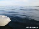 Filename=attachID_22276_postID_204799_22.jpg
Filesize=58KiB
Dimensions=1000x750
Date added=Dec 02, 2016 attachID_22276_postID_204799_22.jpg