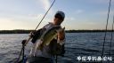 Filename=attachID_22294_postID_204842_20160626_065429.jpg
Filesize=77KiB
Dimensions=1000x562
Date added=Dec 02, 2016 attachID_22294_postID_204842_20160626_065429.jpg