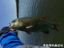 Filename=attachID_22299_postID_205072_image.jpeg
Filesize=59KiB
Dimensions=1000x750
Date added=Dec 02, 2016 attachID_22299_postID_205072_image.jpeg