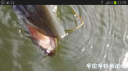 Filename=attachID_22435_postID_205910_Screenshot_2016-07-01-21-08-35.png
Filesize=399KiB
Dimensions=1000x562
Date added=Dec 02, 2016 attachID_22435_postID_205910_Screenshot_2016-07-01-21-08-35.png
