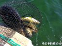 Filename=attachID_22489_postID_206115_image.jpeg
Filesize=153KiB
Dimensions=1000x750
Date added=Dec 02, 2016 attachID_22489_postID_206115_image.jpeg