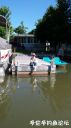 Filename=attachID_22498_postID_206173_20160703_094539.jpg
Filesize=76KiB
Dimensions=562x1000
Date added=Dec 02, 2016 attachID_22498_postID_206173_20160703_094539.jpg